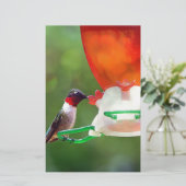 A Ruby Throated Hummingbird Briefpapier (Stehend Vorderseite)
