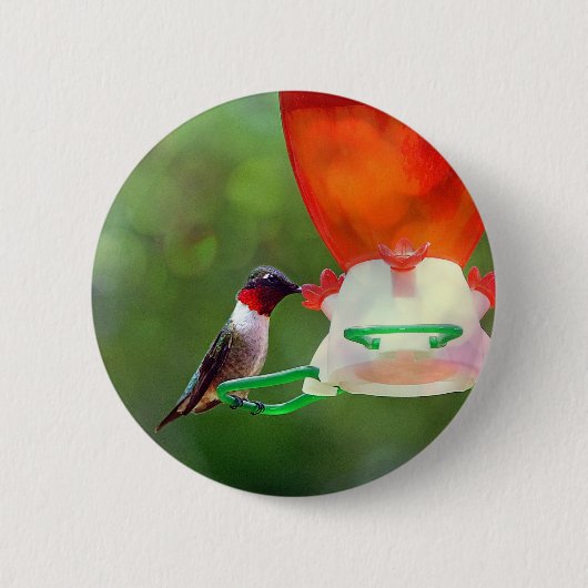 A Ruby Throated Hummingbird Button (Vorderseite)