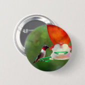 A Ruby Throated Hummingbird Button (Vorne & Hinten)