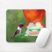 A Ruby Throated Hummingbird Mousepad (Mit Mouse)