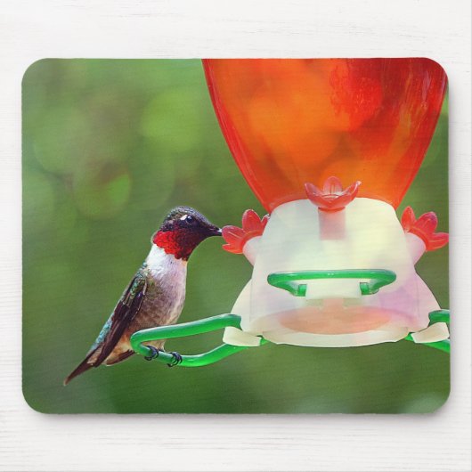 A Ruby Throated Hummingbird Mousepad (Vorne)