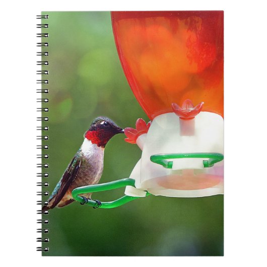 A Ruby Throated Hummingbird Notizblock (Vorderseite)