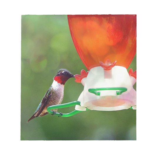 A Ruby Throated Hummingbird Notizblock (Vorderseite)