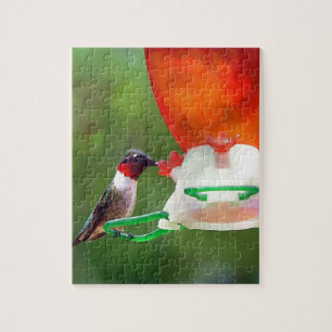 A Ruby Throated Hummingbird Puzzle