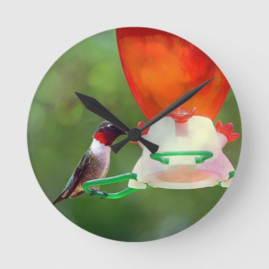 A Ruby Throated Hummingbird Runde Wanduhr (Vorderseite)