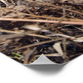 A scout observer practices observation techniqu poster (Ecke)