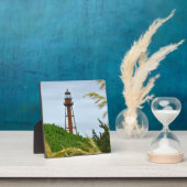 A Sentinel Rising Fotoplatte (InSitu)