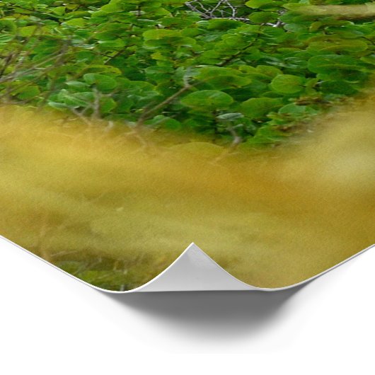 A Sentinel Rising Poster (Ecke)