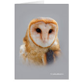 A Serene and Beautiful Barn Owl (Vorne)