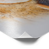 A Serene Barn Owl Fotodruck (Ecke)