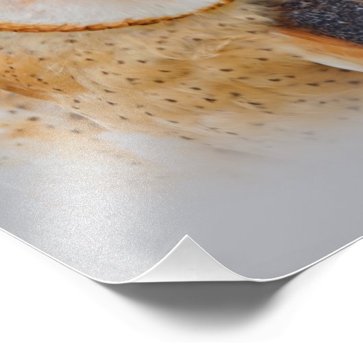 A Serene Barn Owl Fotodruck (Ecke)