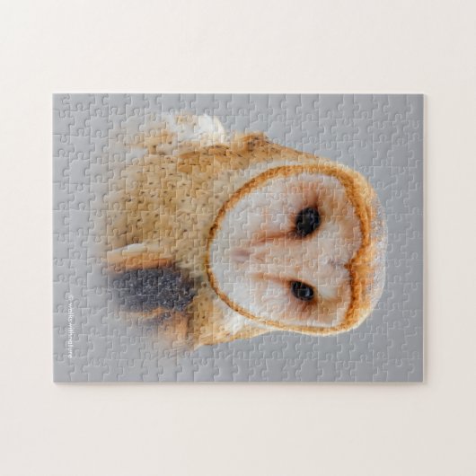 A Serene Barn Owl Puzzle (Horizontal)