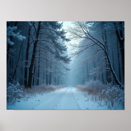 A Serene Path Through a Snow-Covered Forest Poster (Vorne)