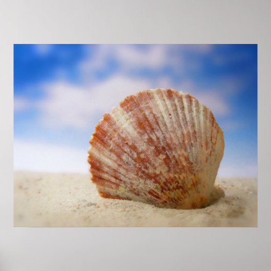 A Shell Propped In The Sand Poster (Vorne)