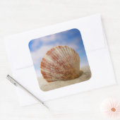 A Shell Propped In The Sand Quadratischer Aufkleber (Umschlag)