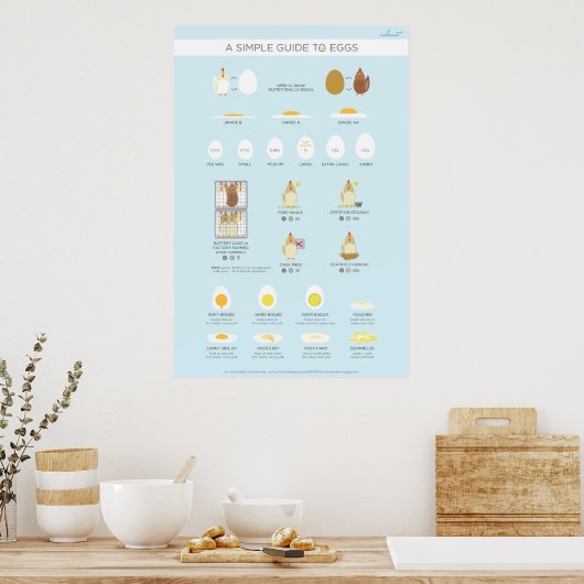 A simple (visual) guide to eggs poster (Küche)