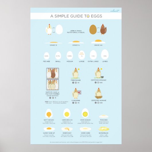 A simple (visual) guide to eggs poster (Vorne)