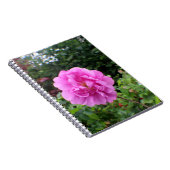 A Single Pink Flower Notizblock (Rechte Seite)