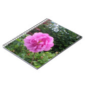 A Single Pink Flower Notizblock (Linke Seite)