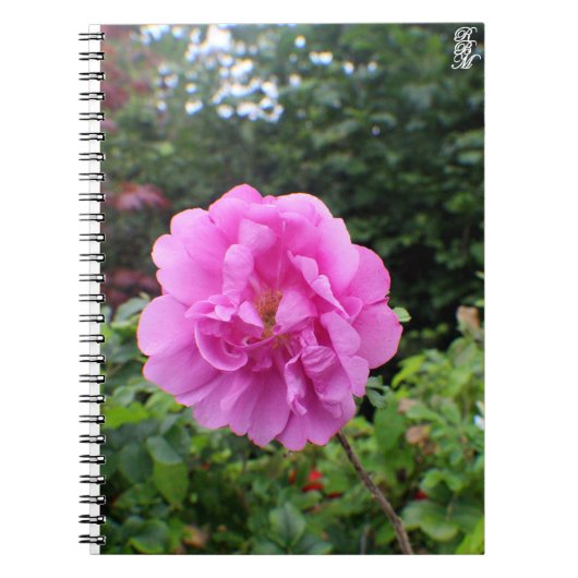 A Single Pink Flower Notizblock (Vorderseite)