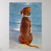 A sitting brown dog by P.S. Kroyer Poster (Vorne)