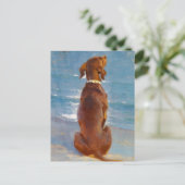 A sitting brown dog by P.S. Kroyer Postkarte (Stehend Vorderseite)