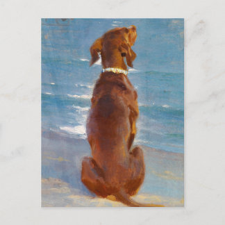 A sitting brown dog by P.S. Kroyer Postkarte