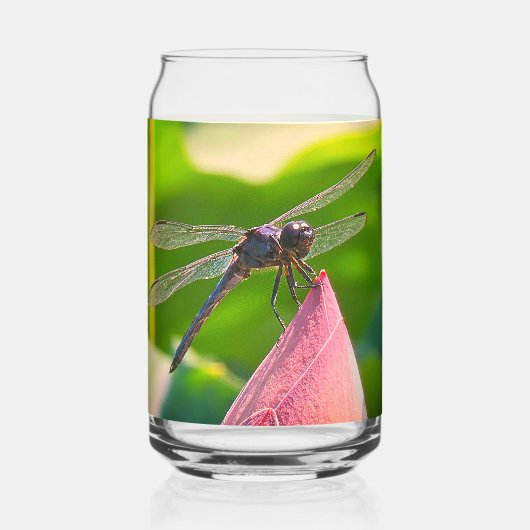 A Slaty Skimmer dragonfly Dosenglas (Vorderseite)