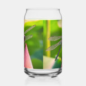 A Slaty Skimmer dragonfly Dosenglas (Links)