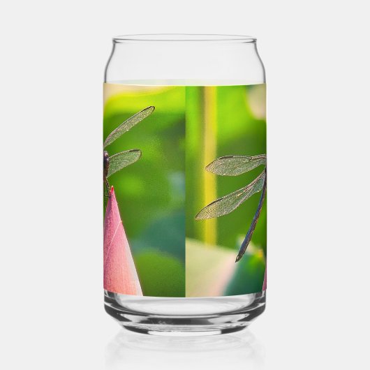 A Slaty Skimmer dragonfly Dosenglas (Links)