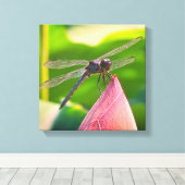 A Slaty Skimmer dragonfly Leinwanddruck (Insitu (Holzboden))