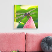 A Slaty Skimmer dragonfly Leinwanddruck (Insitu (Wohnzimmer))