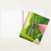 A Slaty Skimmer dragonfly Planer (Anzeige)