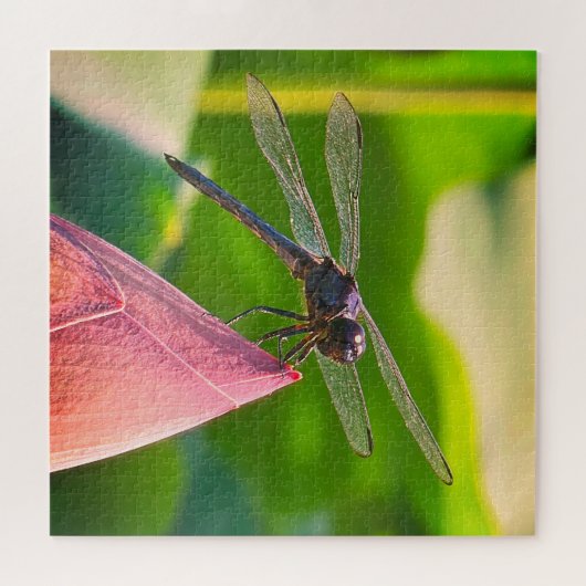 A Slaty Skimmer dragonfly Puzzle (Horizontal)