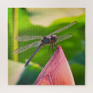 A Slaty Skimmer dragonfly Puzzle