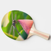 A Slaty Skimmer dragonfly Tischtennis Schläger (Seitenansicht)
