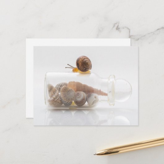 A snail and seashells postkarte (Vorderseite/Rückseite Beispiel)