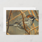 A sparrow, resting, sits on a bush branch postkarte (Vorne/Hinten)