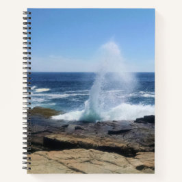 A Splash of Adventure at Schoodic Point Notizblock