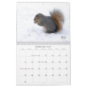 A Squirrel's Tale 2026 Wall Calendar Kalender (Feb 2027)
