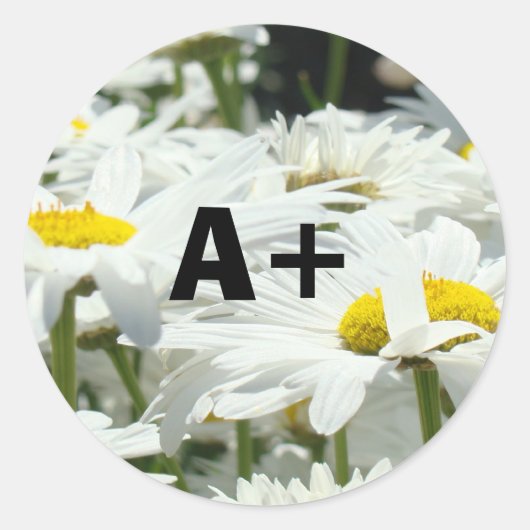 A+ Stickers Students Graachers School Daisy (Vorderseite)