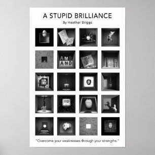 A Stupid Brilliance Poster 13x19