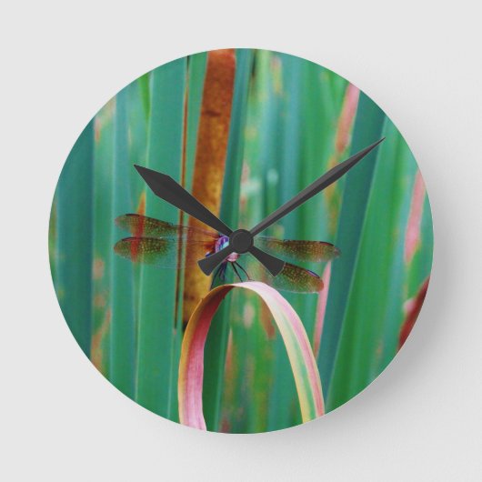 A teal Eyed Dragonfly with cattails Runde Wanduhr (Vorderseite)