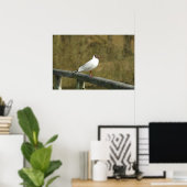 A Tern Poster (Heimbüro)