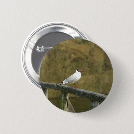 A tern - Taste Button (Vorne & Hinten)