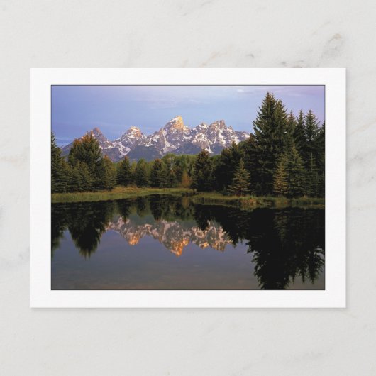 "A Teton Morning" Postkarte (Vorderseite)