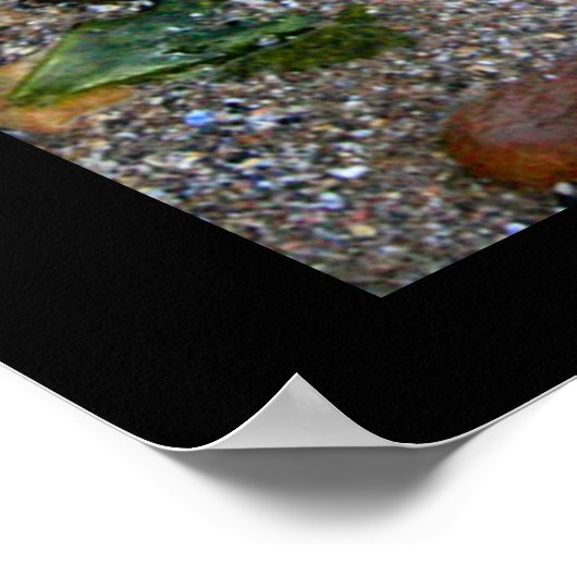 A tide of hidden treasure poster (Ecke)