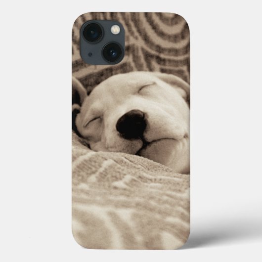 A Tired Dog Case-Mate iPhone Hülle (Rückseite)