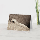 A Tired Dog Karte (Vorderseite)