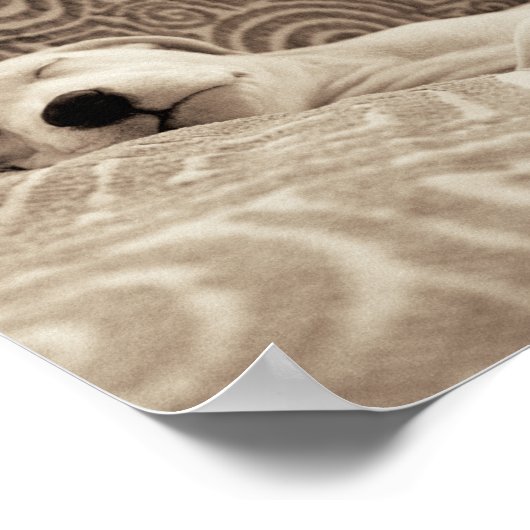 A Tired Dog Poster (Ecke)